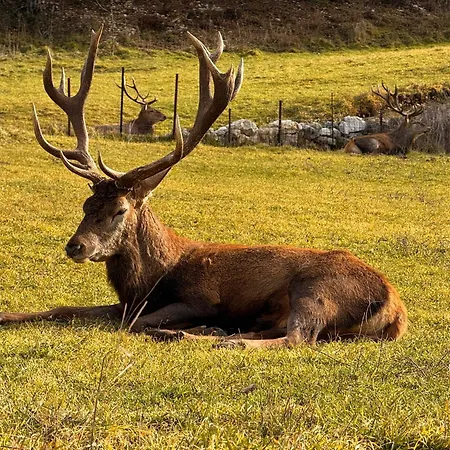 Casa Del Cuore Lägenhet