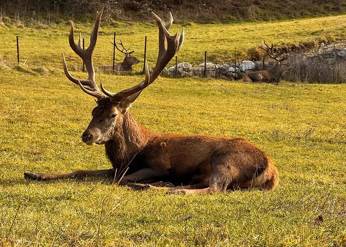Casa Del Cuore Apartmán